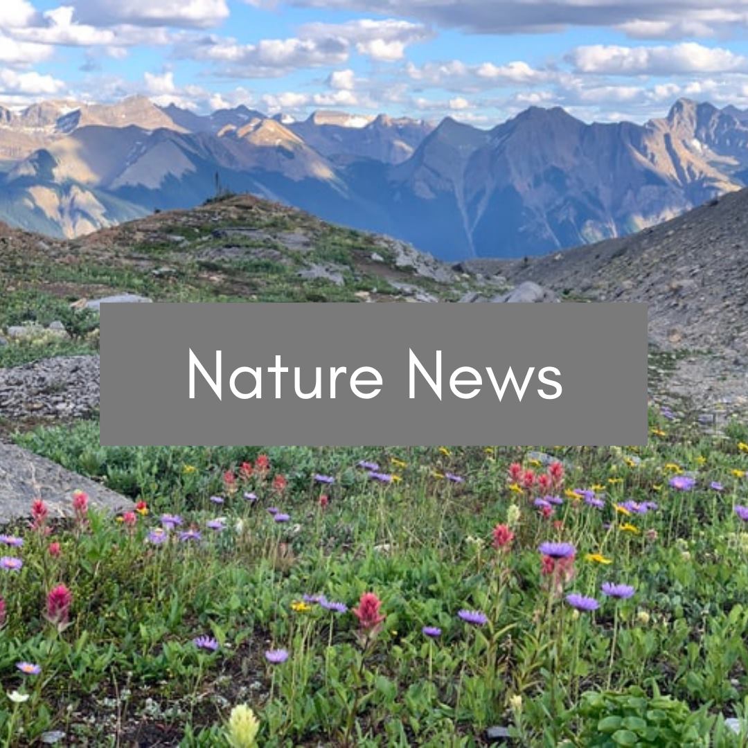 Nature United Press Release