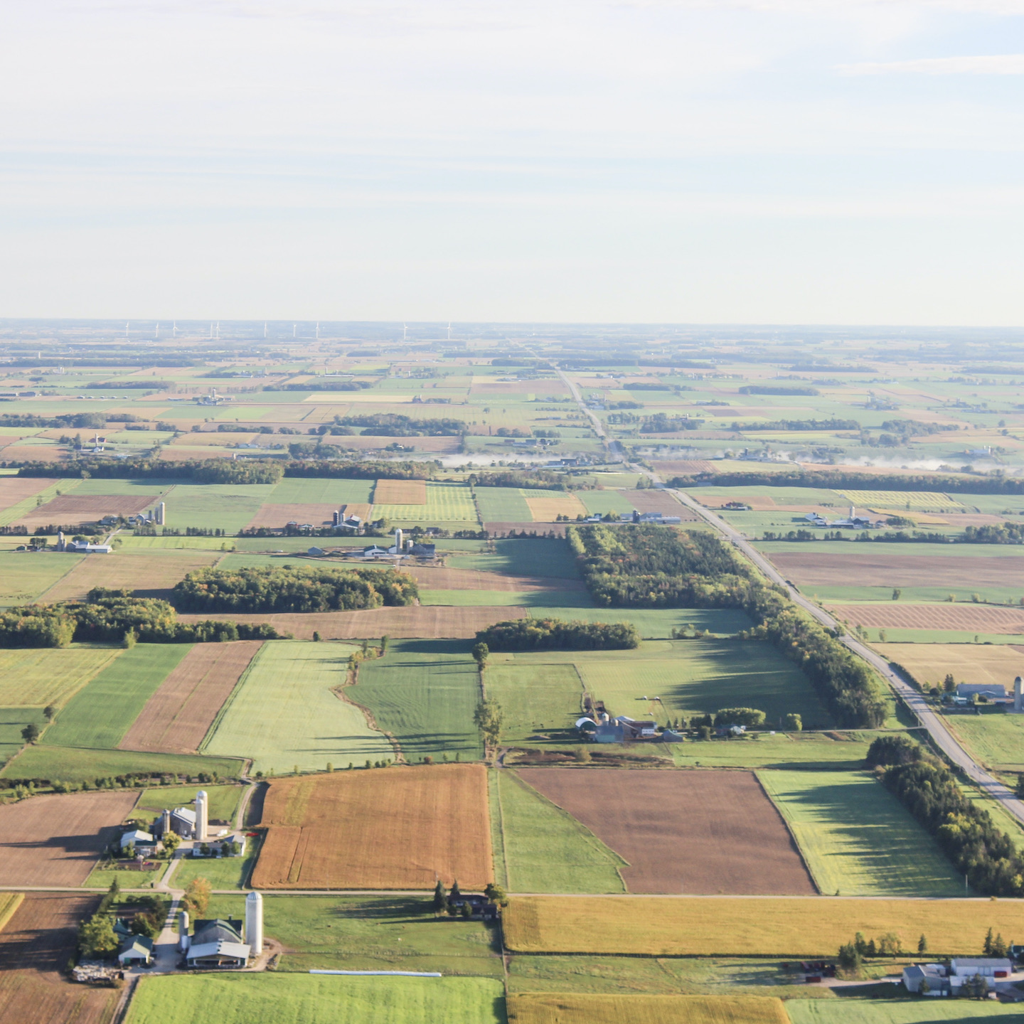 New Project: Help Save 5,000 Acres of Farmland in Halton