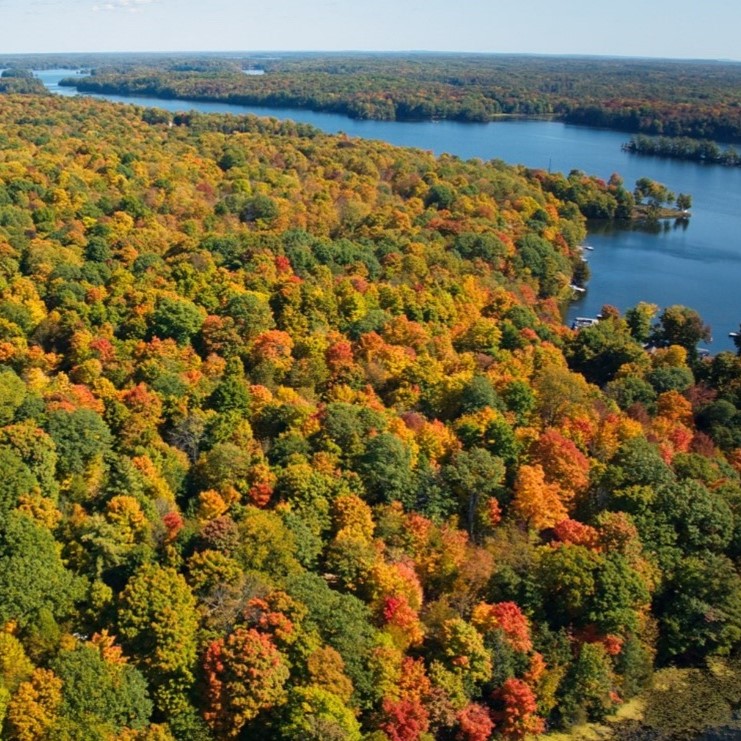 For Immediate Release: Canada’s Richest Biodiversity Reserve Under Threat in South Frontenac