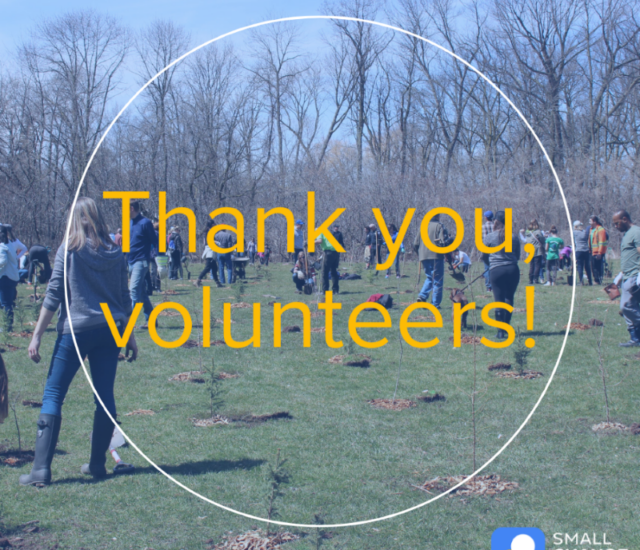 Thank You, Volunteers!